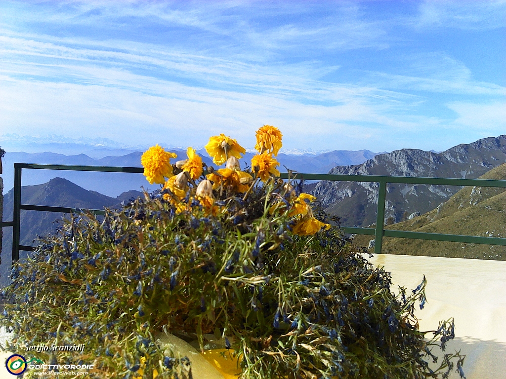 35 Panorama dalla terrazza.jpg